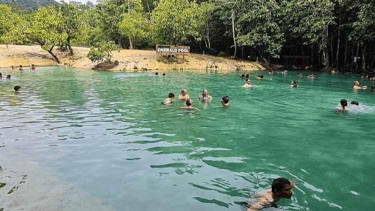 Krabi Jungle Tour-Amazing Hot Springs Emerald Pool Explore Tiger Cave Temple photo 3