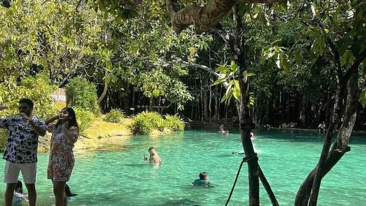 Krabi Jungle Tour-Amazing Hot Springs Emerald Pool Explore Tiger Cave Temple photo 5