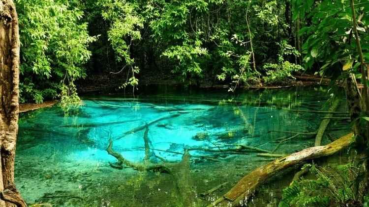 Krabi Jungle Tour-Amazing Hot Springs Emerald Pool Explore Tiger Cave Temple