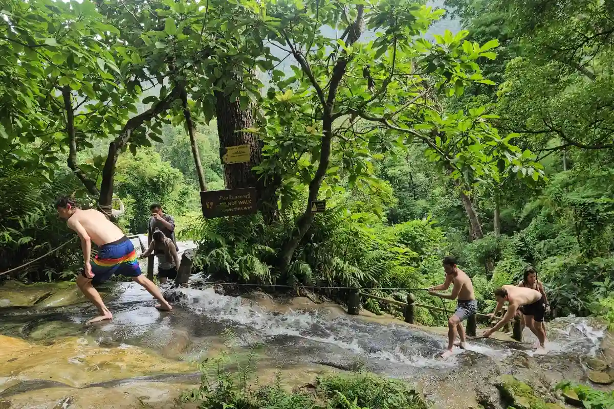 Bua Thong Sticky Waterfalls Private Tour from Chiang Mai