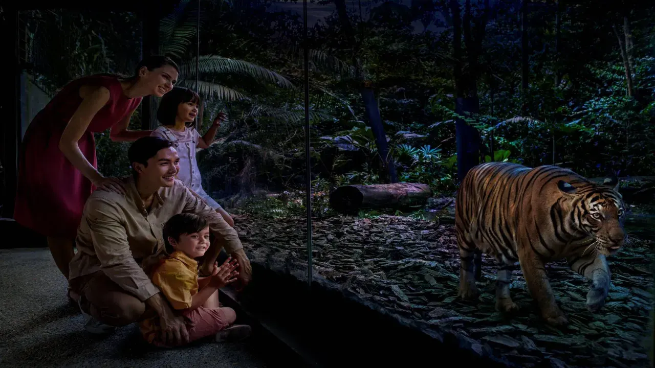 Guaranteed Singapore Night Safari Direct Entry Ticket with Tram