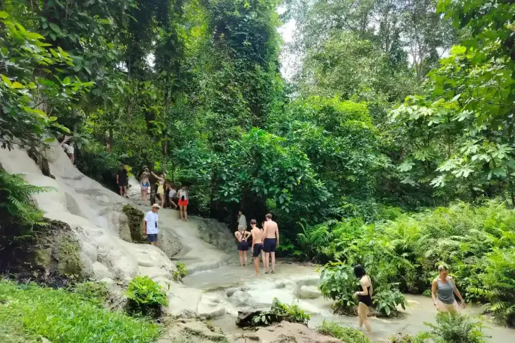 Bua Thong Sticky Waterfalls Private Tour from Chiang Mai