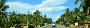 Day Trips & Excursions