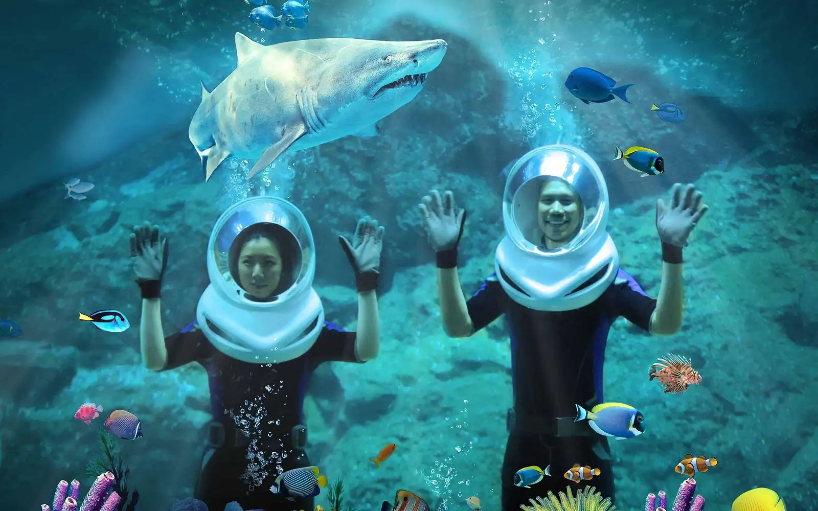 Sea Life Bangkok Ocean World Ticket