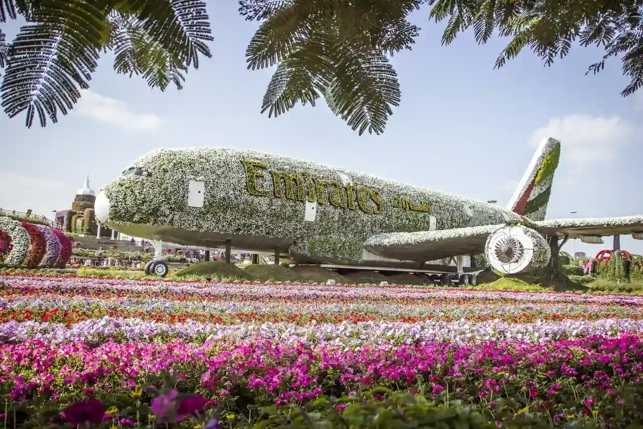 Best Price Dubai Miracle Garden Ticket See 150 Million Flowers