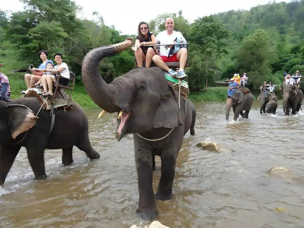 Chiang Mai Maetaeng Elephant Park Tour Experience Elephant Magic
