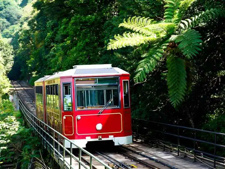 Private Hong Kong Tour Discover Victoria Peak and Top Sights